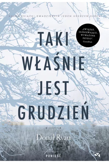 Taki w�a�nie jest grudzie� - Donal Ryan