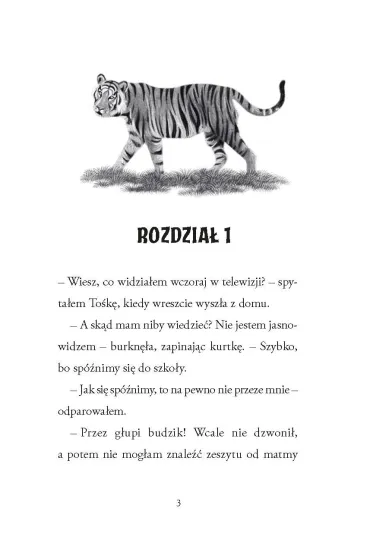 Le�na Akademia Maciejki Gwizd. Maciejka Gwizd. Tom 2 - Joanna Maria Chmielewska