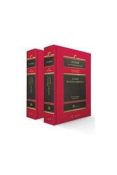 eBook System Prawa Karnego Procesowego. Tom III. Zasady procesu karnego epub