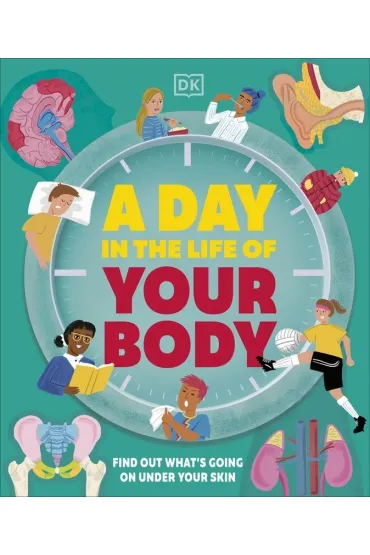 Day in the Life of Your Body