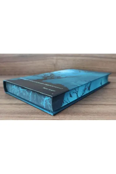 Wyb�r opowiada� - Edgar Allan Poe