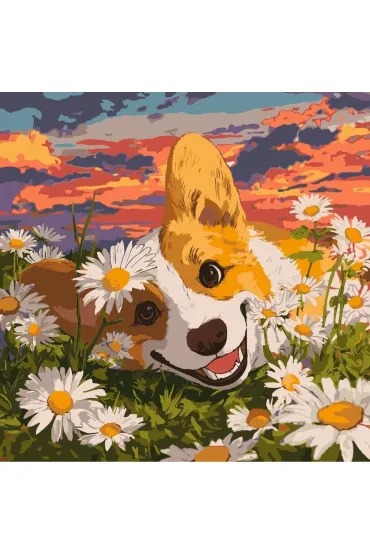 Ideyka Malowanie po numerach - Corgi w stokrotka 40x40cm