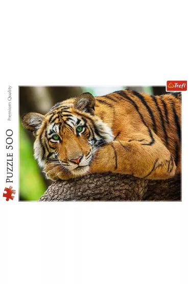 Puzzle 500 el. Portret tygrysa Trefl