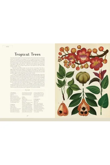 Botanicum - Kathy Willis