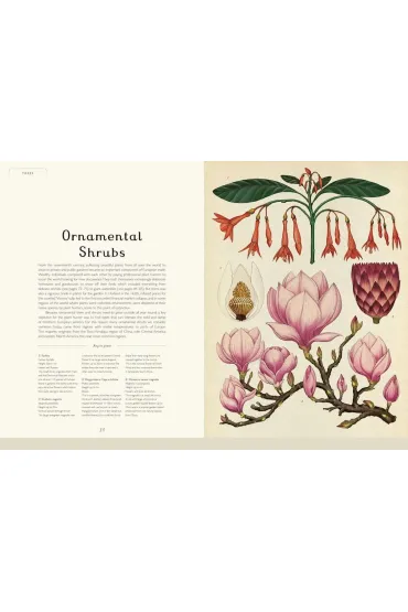 Botanicum - Kathy Willis