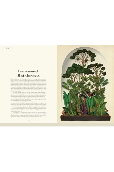 Botanicum - Kathy Willis