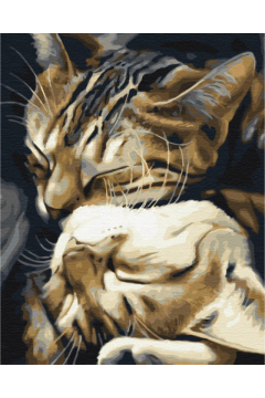 Symag Malowanie po numerach. Paint it! pice koty 40 x 50 cm