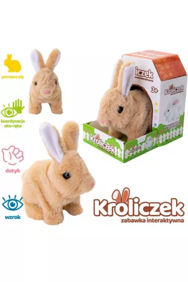 Kr�liczek na baterie br�zowy Askato