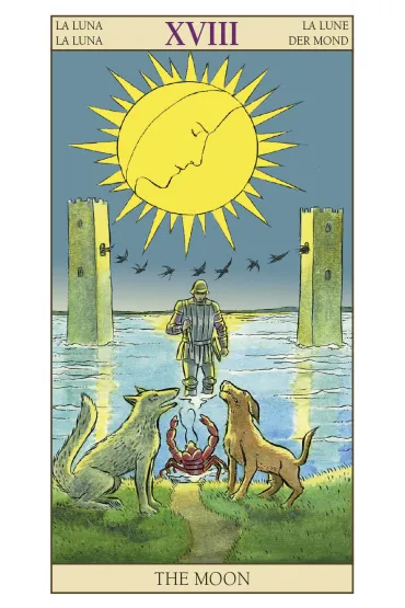 New Vision Tarot, karty do wr�enia - Pietro Alligo