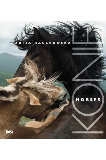 Konie / Horses