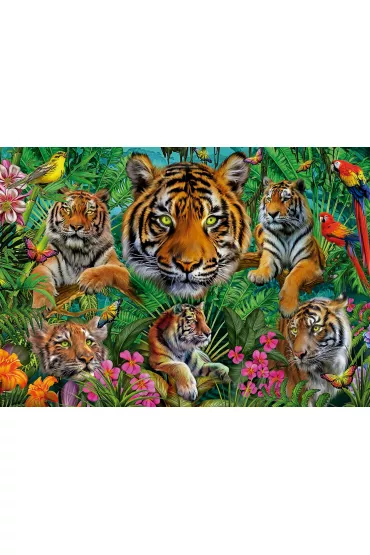 Puzzle 500 el. Tygrysy w d�ungli Educa