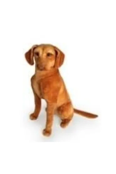 Wy�e� siedz�cy 44cm Dubi