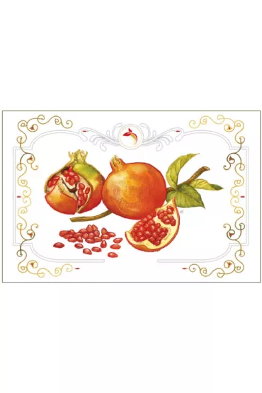 DaVinci Karnet B-BD 502 061 + koperta Granat 12x18 cm