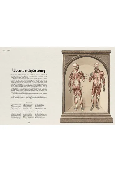 Anatomicum. Muzeum Anatomii - Jennifer Paxton