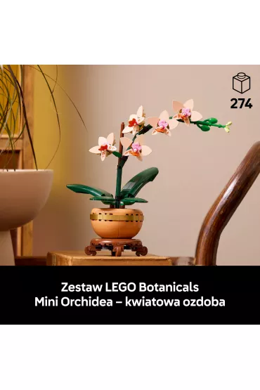 LEGO Botanicals Maa orchidea 10343