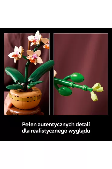 LEGO Botanicals Maa orchidea 10343