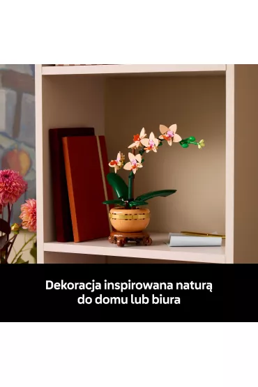 LEGO Botanicals Maa orchidea 10343