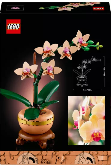 LEGO Botanicals Maa orchidea 10343