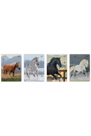 Interdruk Zeszyt A5 UV Wild Horses trzy linie, 70g 32 kartki 10 szt.