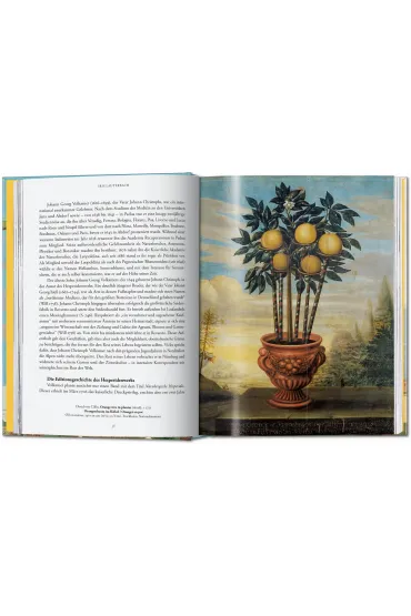 J. C. Volkamer. The Book of Citrus Fruits. 45th Ed. - J C Volkamer