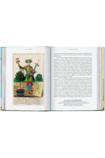J. C. Volkamer. The Book of Citrus Fruits. 45th Ed. - J C Volkamer