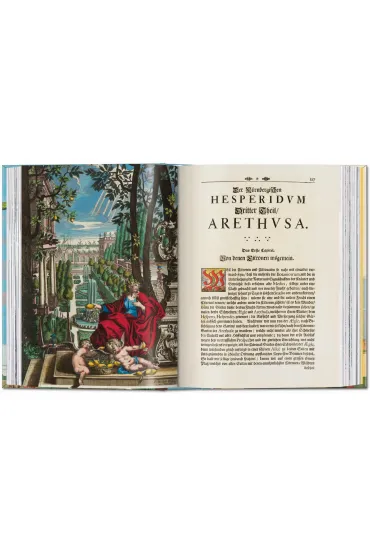 J. C. Volkamer. The Book of Citrus Fruits. 45th Ed. - J C Volkamer