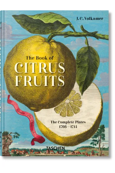 J. C. Volkamer. The Book of Citrus Fruits. 45th Ed. - J C Volkamer