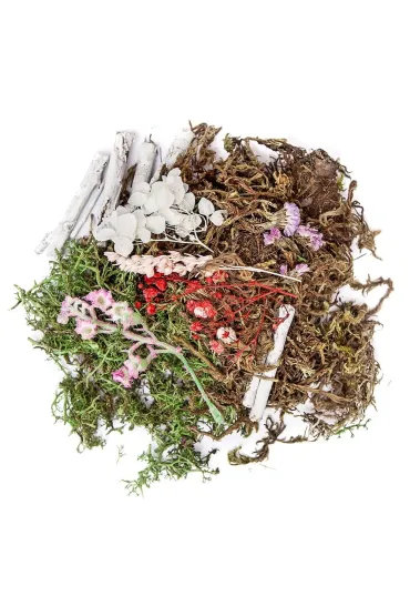 Dalprint Naturalne elementy mix Pastel 30g