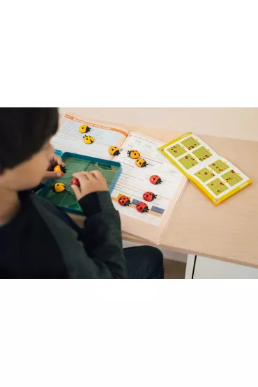 Smart Games. LogiBugs (ENG) IUVI Games