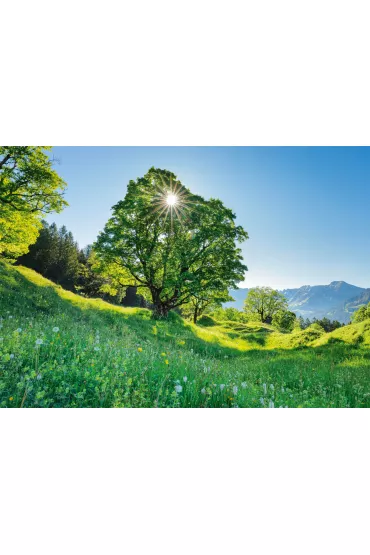 Puzzle 1000 el. G�ra Ahorn, Szwajcaria Schmidt