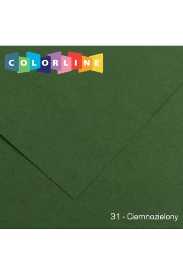 Canson Karton Colorline 50x65 cm, 150g, 25 arkuszy/ryza