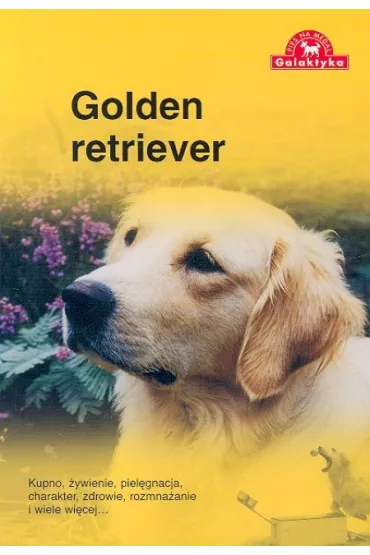 Golden retriever