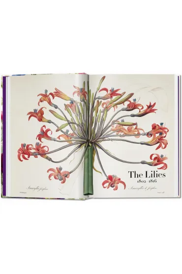 Redout�. The Book of Flowers wer. angielska - Dafaux Marini, Hans Walter Lack