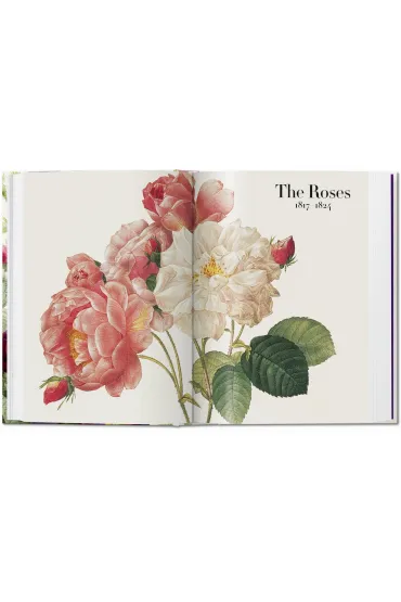 Redout�. The Book of Flowers wer. angielska - Dafaux Marini, Hans Walter Lack