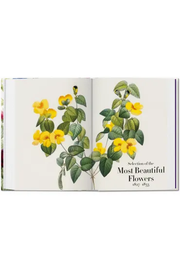 Redout�. The Book of Flowers wer. angielska - Dafaux Marini, Hans Walter Lack