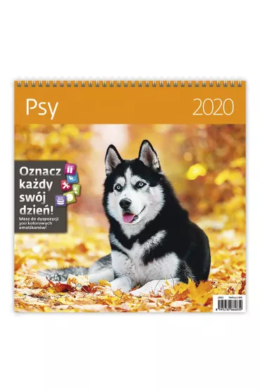 Kal 2020 Psy 30x30