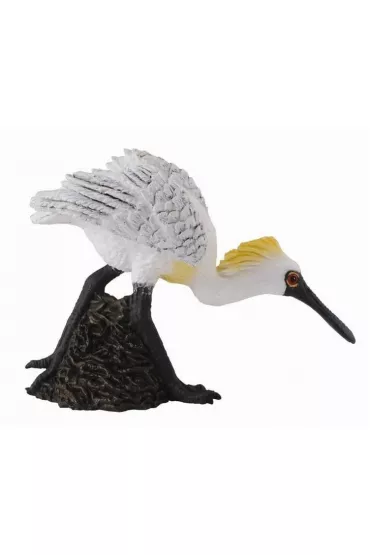 COLLECTA PTAK WARZECHA MALA IDACA ROZMIAR M BPZ-COLLECTA