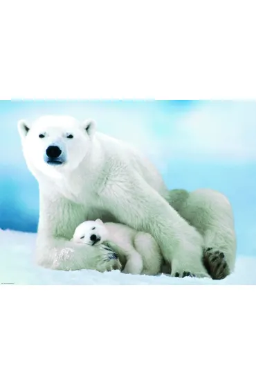 Puzzle 1000 el. Nied�wied� polarny i dziecko Eurographics