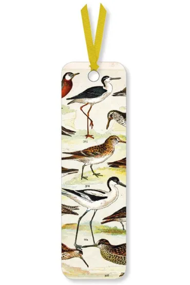 Museums & Galleries Zak�adka do ksi��ki English Wading Birds