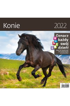 Sztuka Rodzinna Kalendarz 2022 30x30 Konie z naklejkami LP53-22