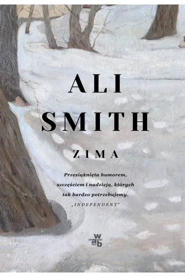 Pory roku. Zima. Tom 2. Pory roku - Ali Smith