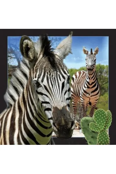 Worth Keeping Poczt�wka 3D Zebra