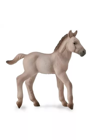 Konik Foal Blue Dun