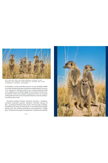Botswana Przez delt� Okawango i piaski Kalahari - Anna Olej-Kobus