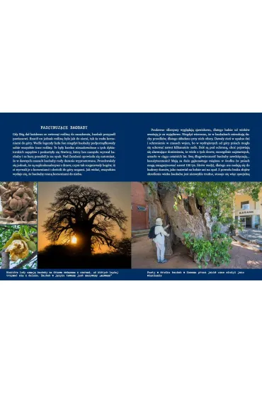 Botswana Przez delt� Okawango i piaski Kalahari - Anna Olej-Kobus