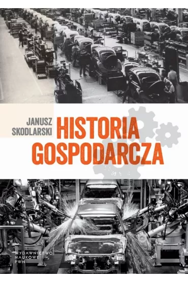eBook Historia gospodarcza mobi epub - Janusz Skodlarski
