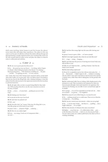 Journey of Souls, ksi��ka