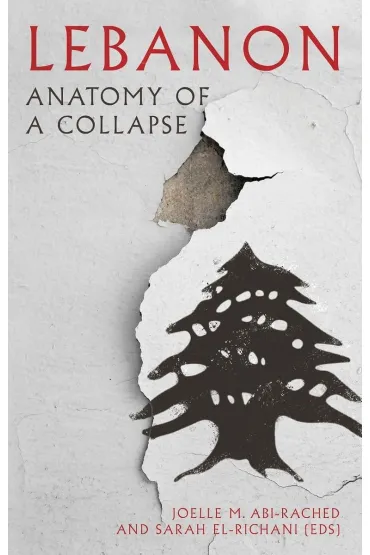 Lebanon. Anatomy of a Collapse - Joelle M Abi-Rached