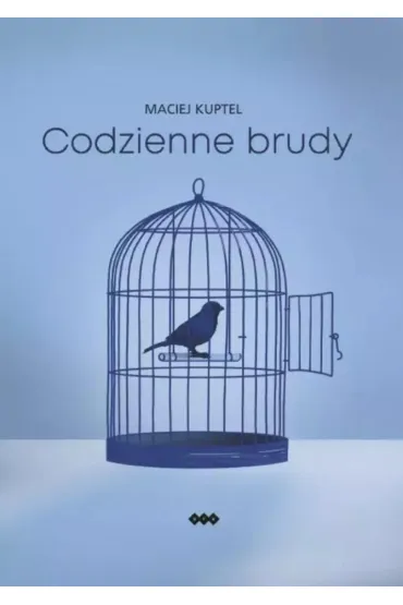 Codzienne brudy - Maciej  Kuptel