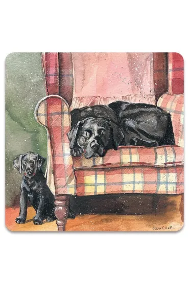 Alex Clark Magnes FM247 Psy Sophie&Scarlett